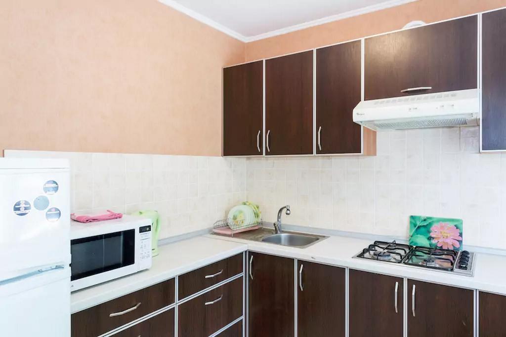 Apartment In Zaporozhye. Antica Zaporizhia エクステリア 写真