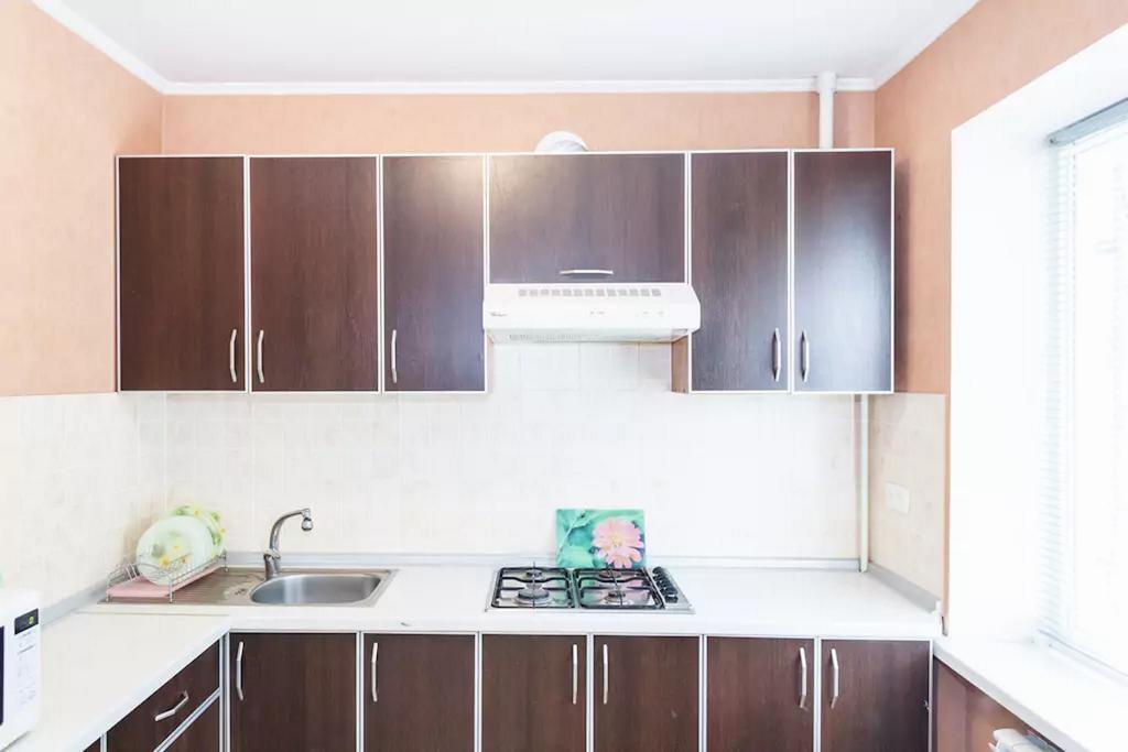Apartment In Zaporozhye. Antica Zaporizhia エクステリア 写真
